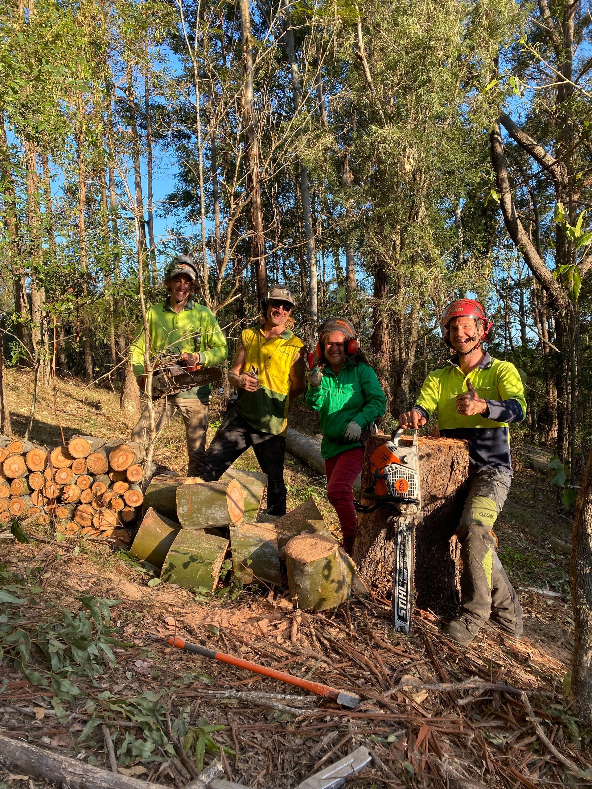 Four people in safety gear pose near cut logs in a wooded area. One holds a chainsaw — AAA Trees On Tweed In Murwillumbah, NSW