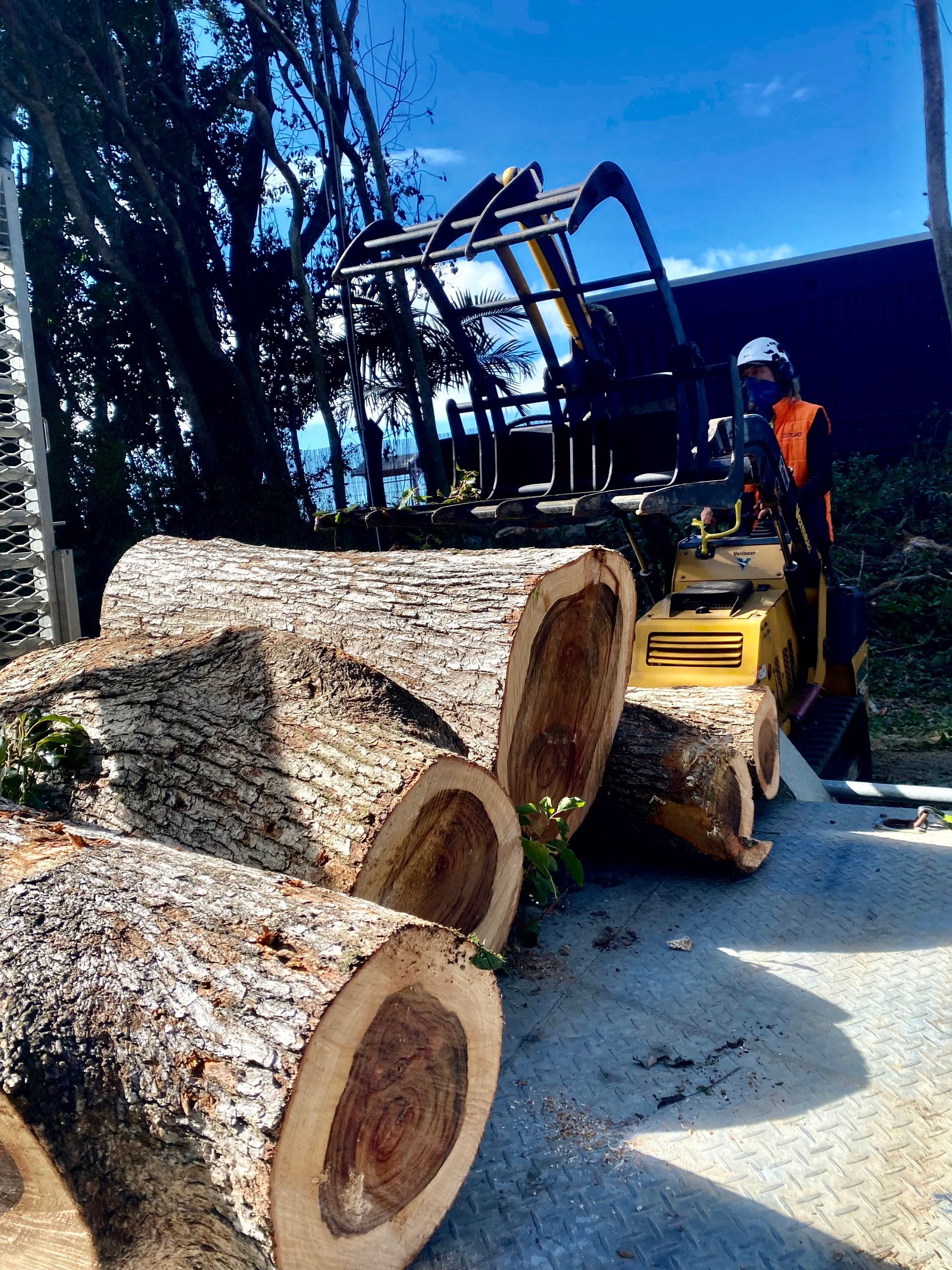 Logs Being Cut by a Yellow Machine, Worker Wearing Safety Gear — AAA Trees On Tweed In Murwillumbah, NSW
