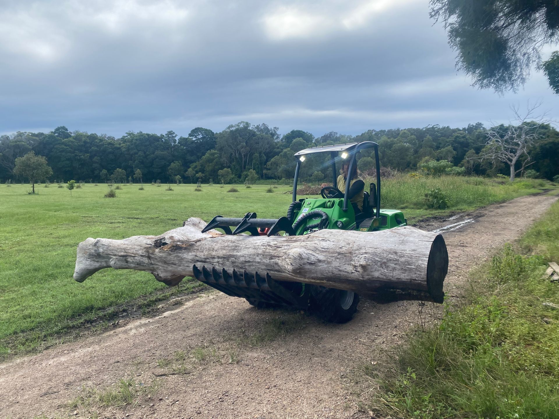 Tractor Carrying a Large Log on a Dirt Road Next to a Grassy Field — AAA Trees On Tweed In Murwillumbah, NSW