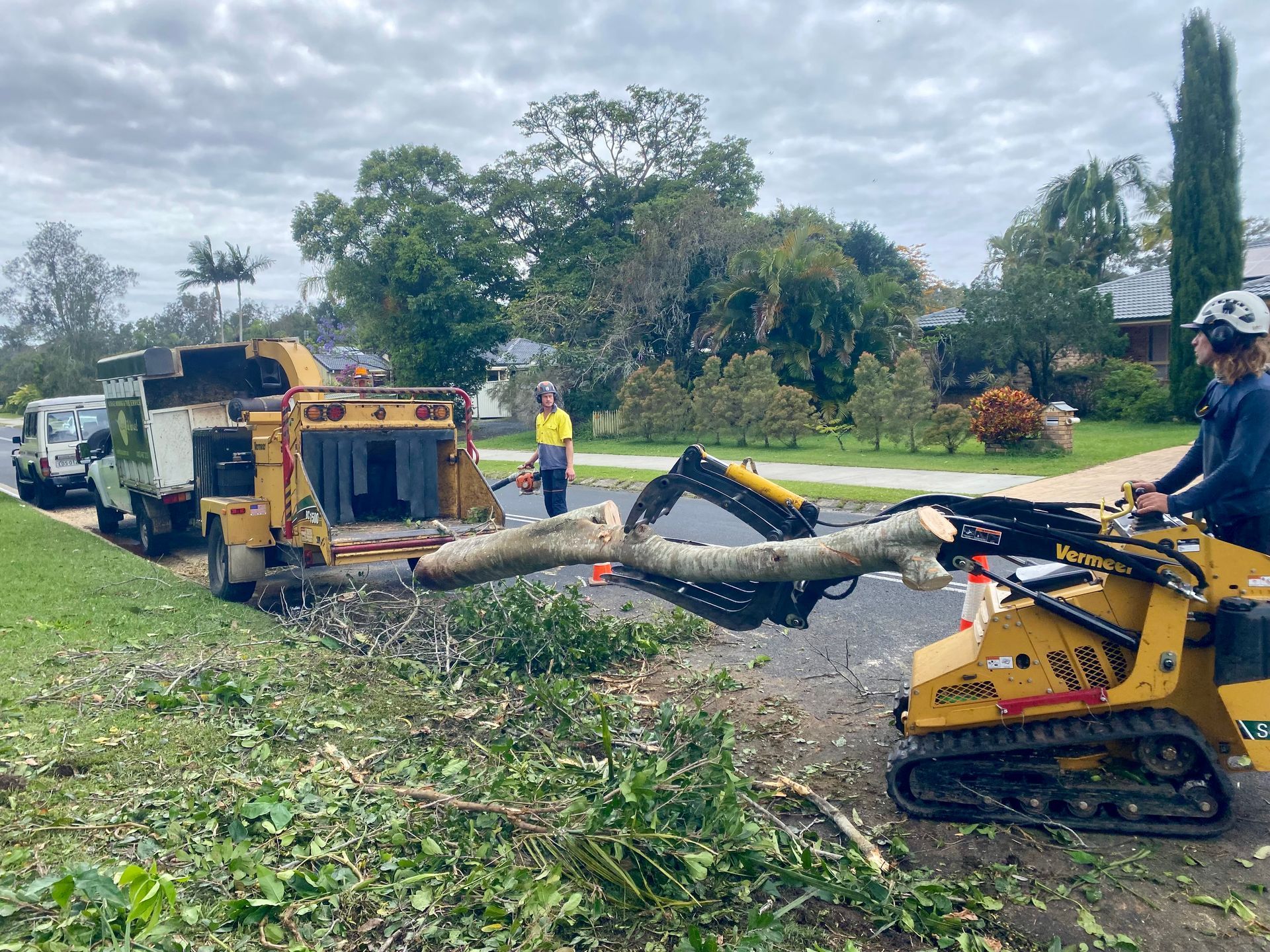 Arborist Using a Small Excavator to Feed a Tree Branch Into a Wood Chipper — AAA Trees On Tweed In Banora Point, NSW