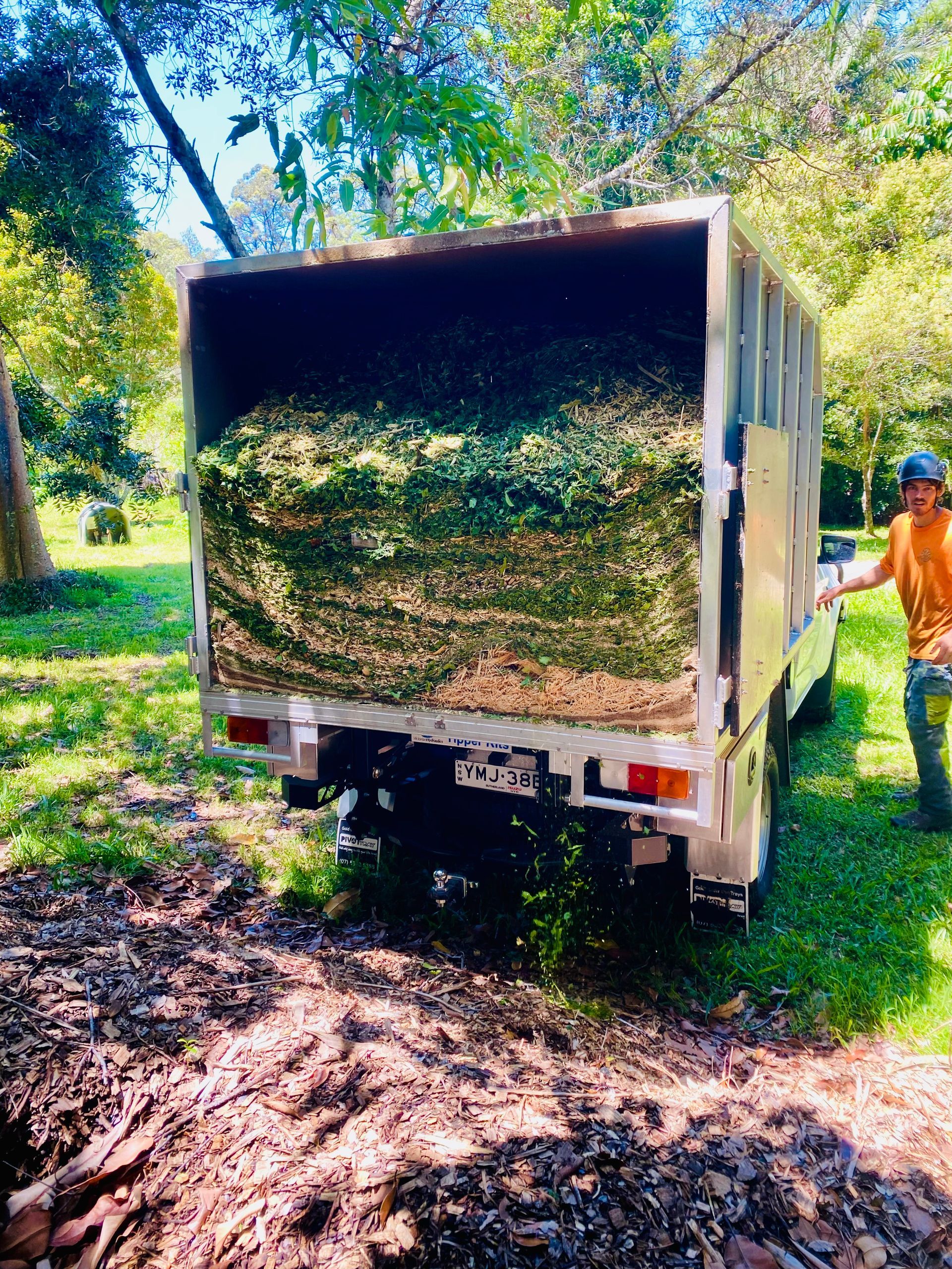 Truck Bed Filled with Green Foliage — AAA Trees On Tweed in Lismore, NSW