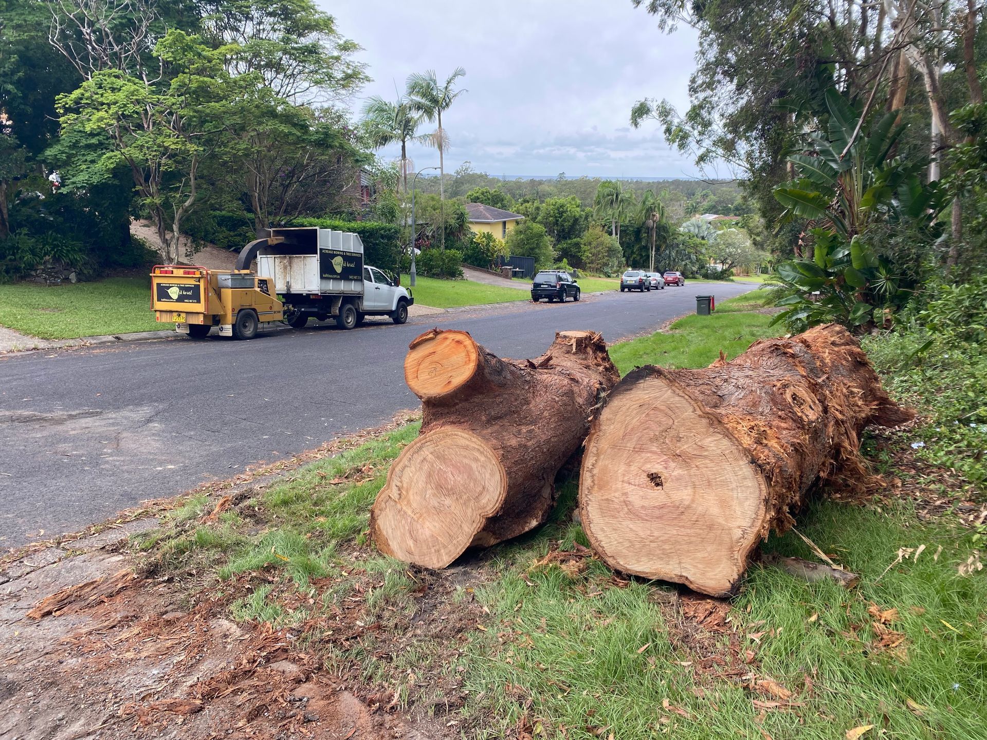 Cut Tree Logs on a Roadside, With a Wood Chipper Truck in the Background — AAA Trees On Tweed In Byron Bay, NSW