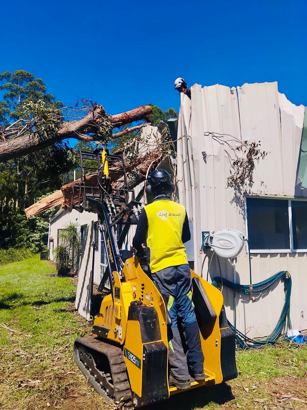 Man Operating Yellow Skid Steer Removing a Fallen Tree from A Building — AAA Trees On Tweed in Currumbin Valley, QLD