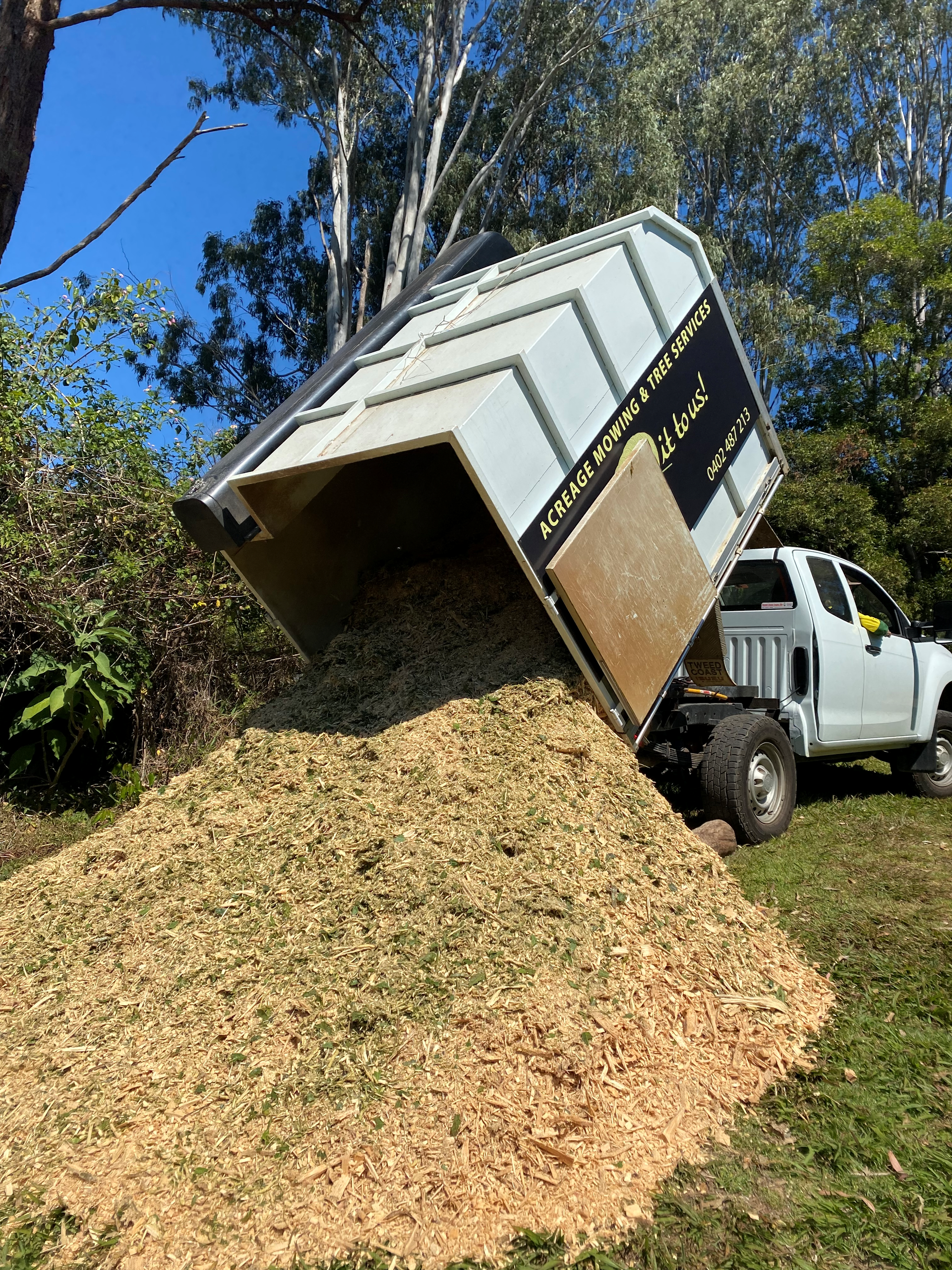 White Truck Dumping Wood Chips onto A Pile in A Grassy Area — AAA Trees On Tweed in Ocean Shores, NSW