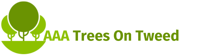 Arborist in Tweed Heads