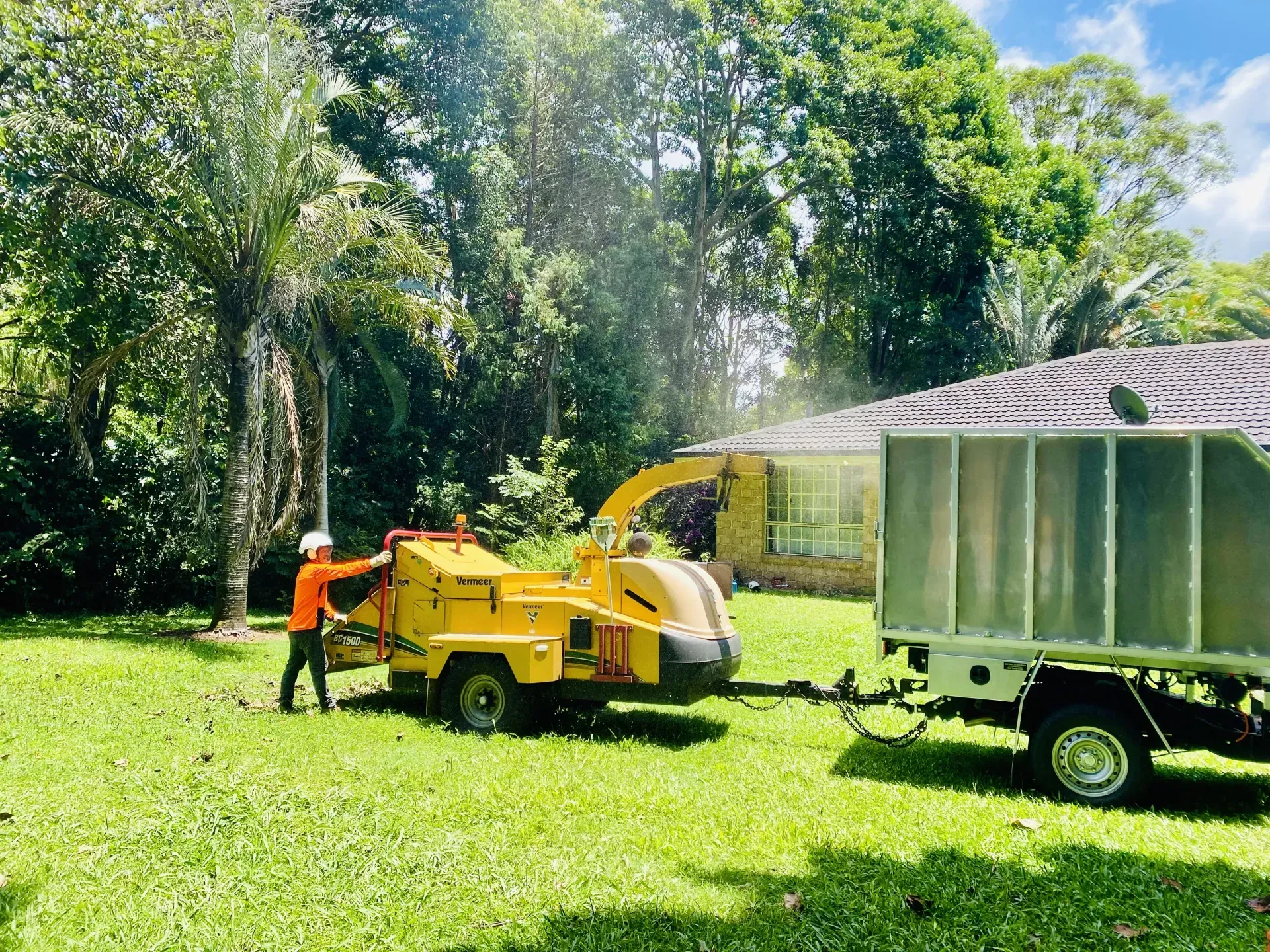 A Person Operates a Yellow Wood Chipper, Feeding Branches — AAA Trees On Tweed in Kingscliff, NSW