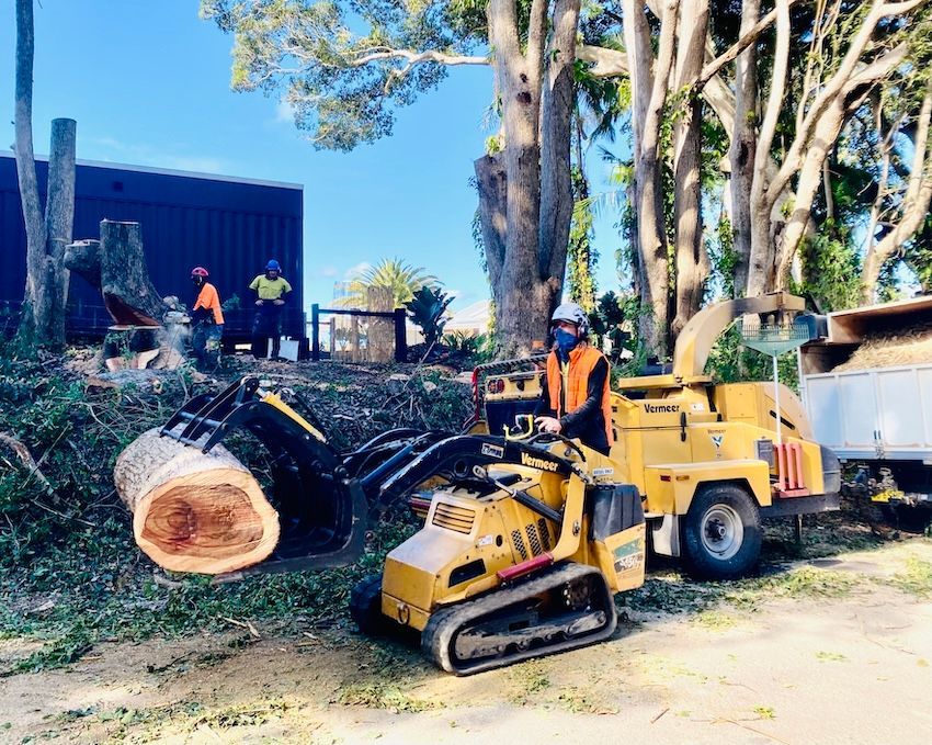 Tree removal crew with machinery: loader, chipper, workers near building, sunny day — AAA Trees On Tweed In Murwillumbah, NSW