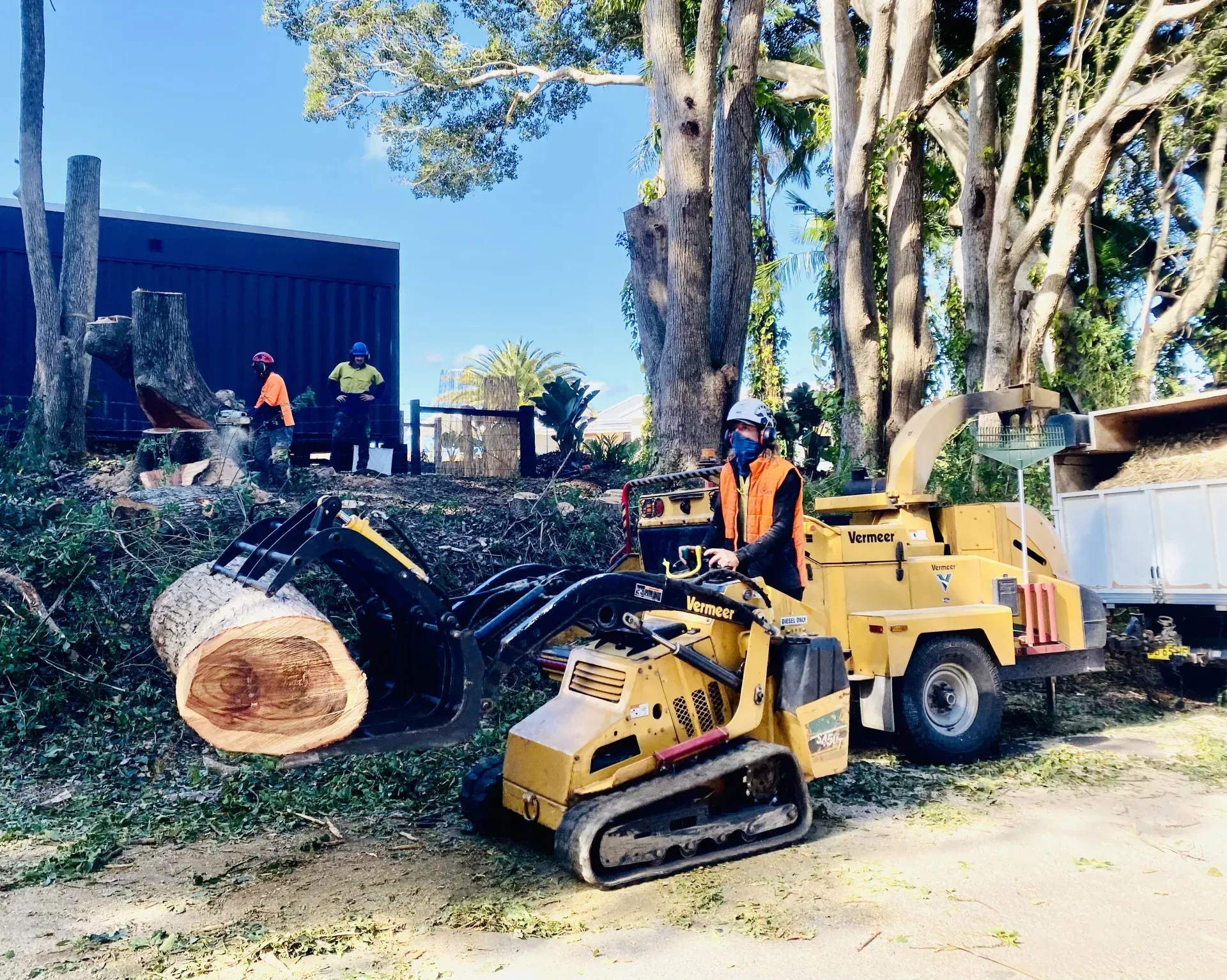 Arborists Using a Chipper and Small Loader to Remove Tree Debris in A Yard — AAA Trees On Tweed in Suffolk Park, NSW