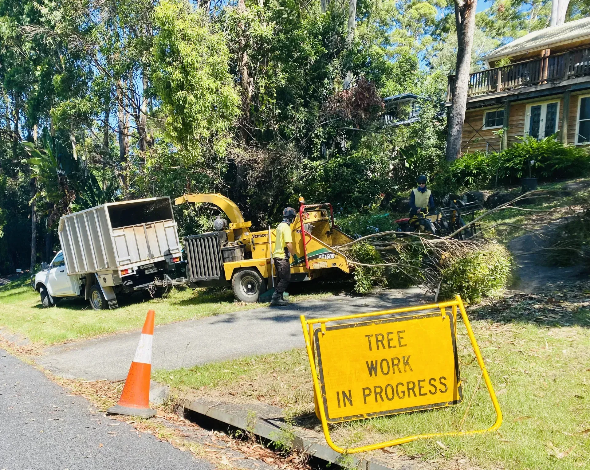 Tree Work in Progress — AAA Trees On Tweed in Bangalow, NSW
