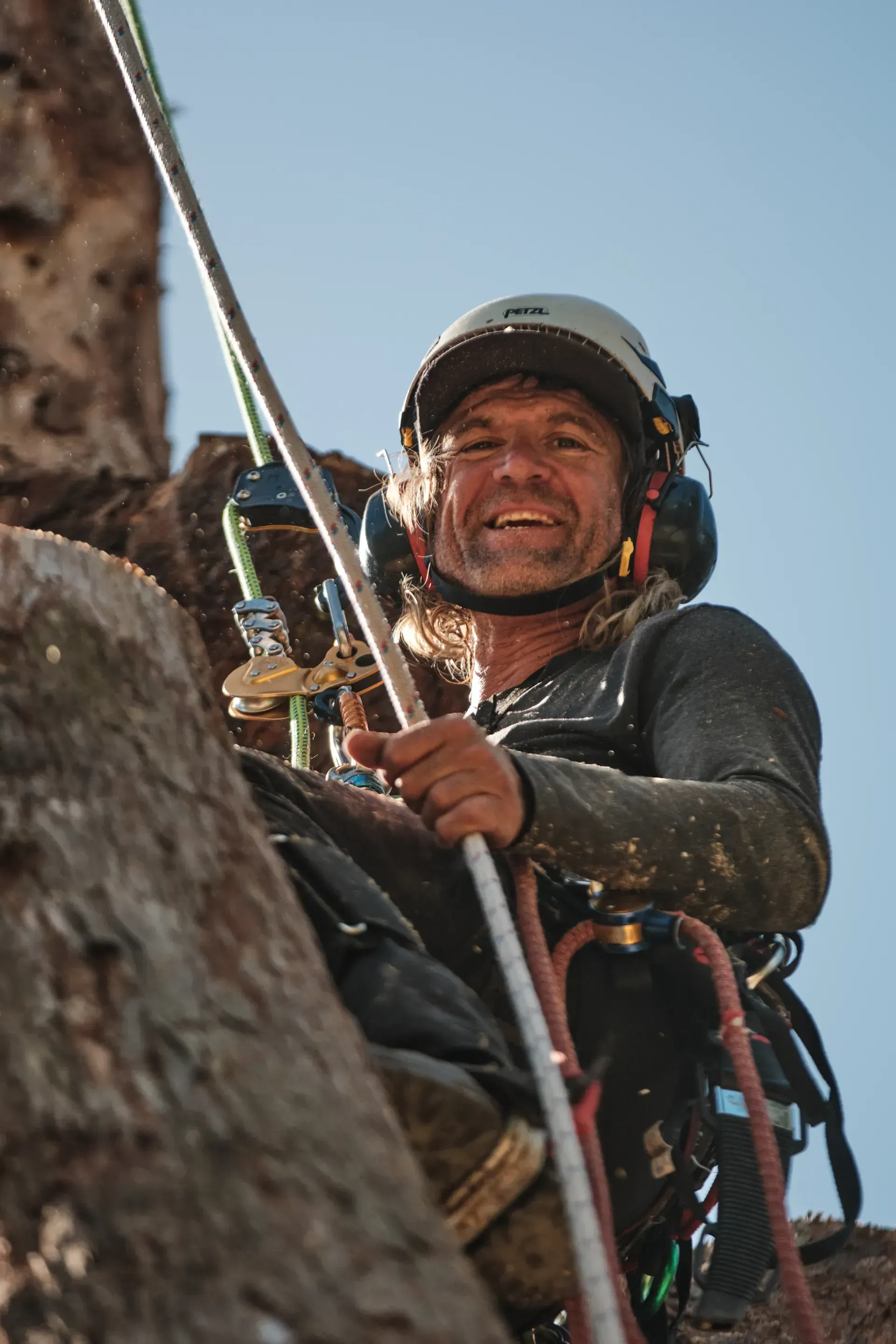 Arborist using a chainsaw to cut a large tree branch; sawdust spraying — AAA Trees On Tweed In Murwillumbah, NSW