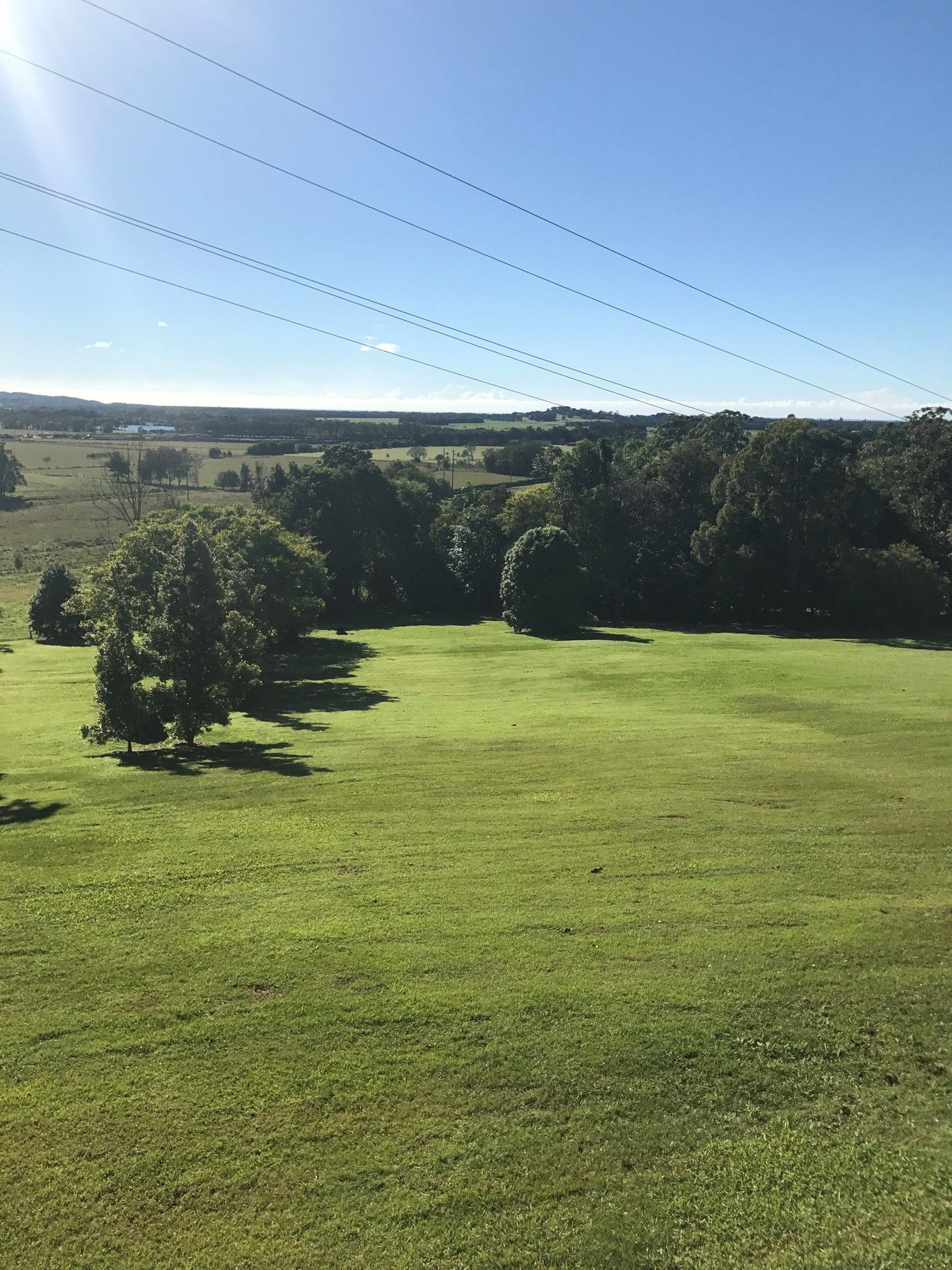 Green Field with Trees, and Power Lines Against a Blue Sky — AAA Trees On Tweed in Murwillumbah, NSW