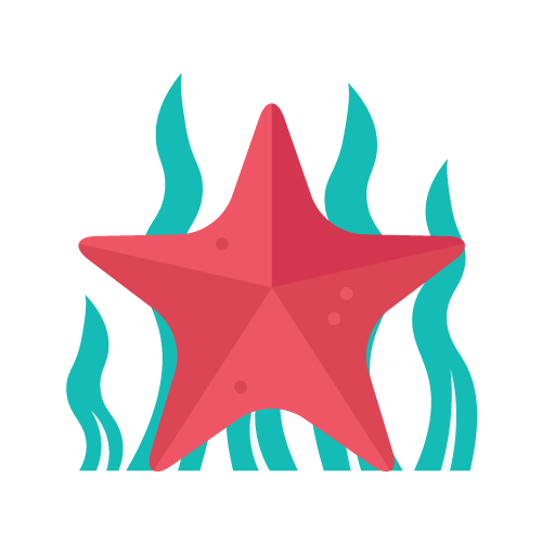 starfish graphic