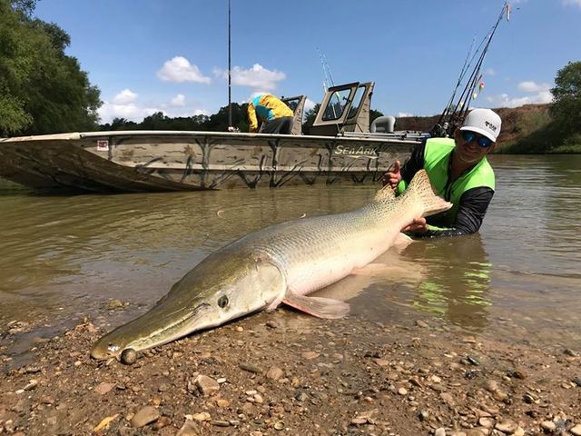 Hook into an Alligator Gar and you will understand quickly the