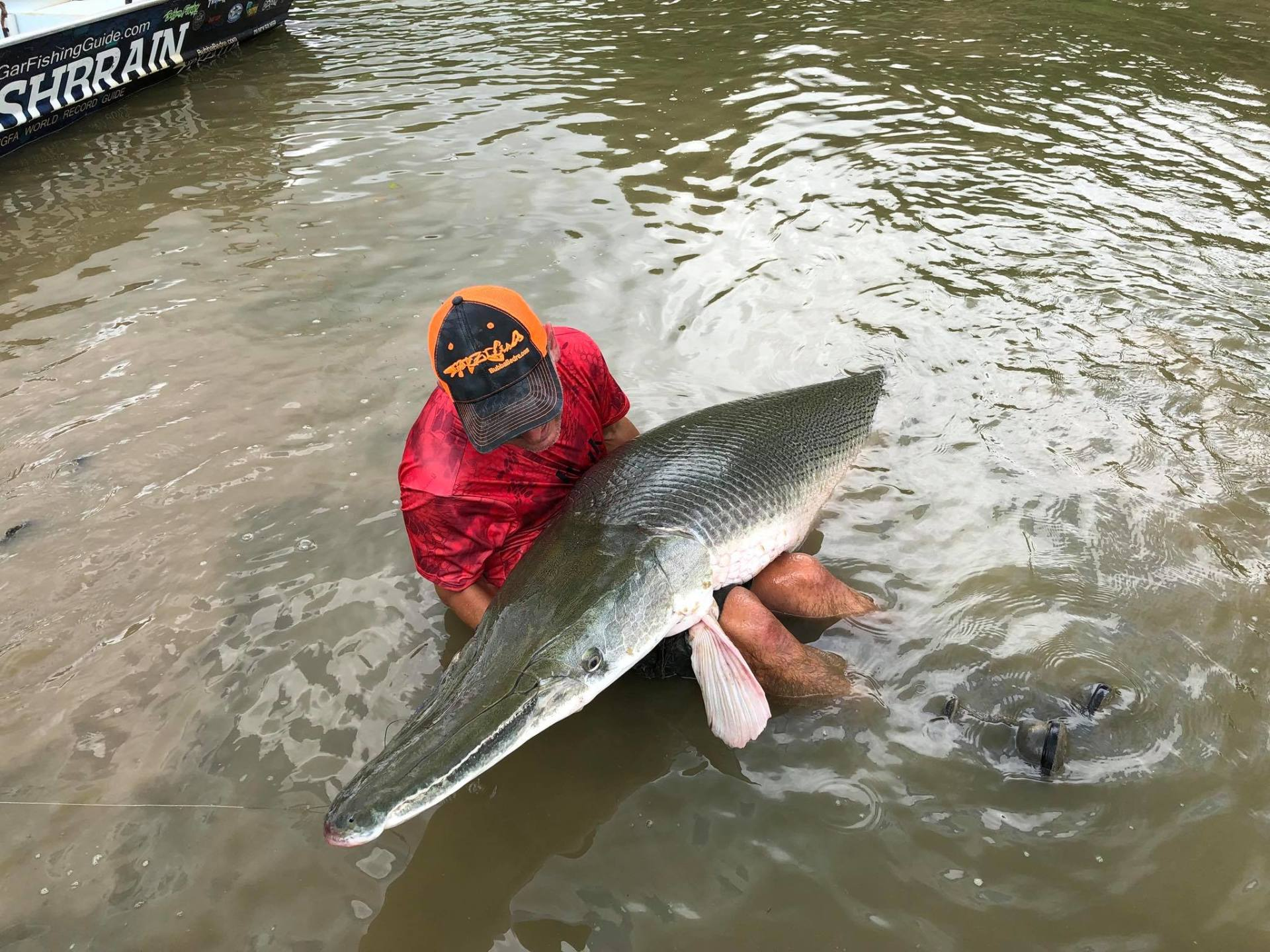 Man holding large fish in water; orange hat, red shirt, boat in background.