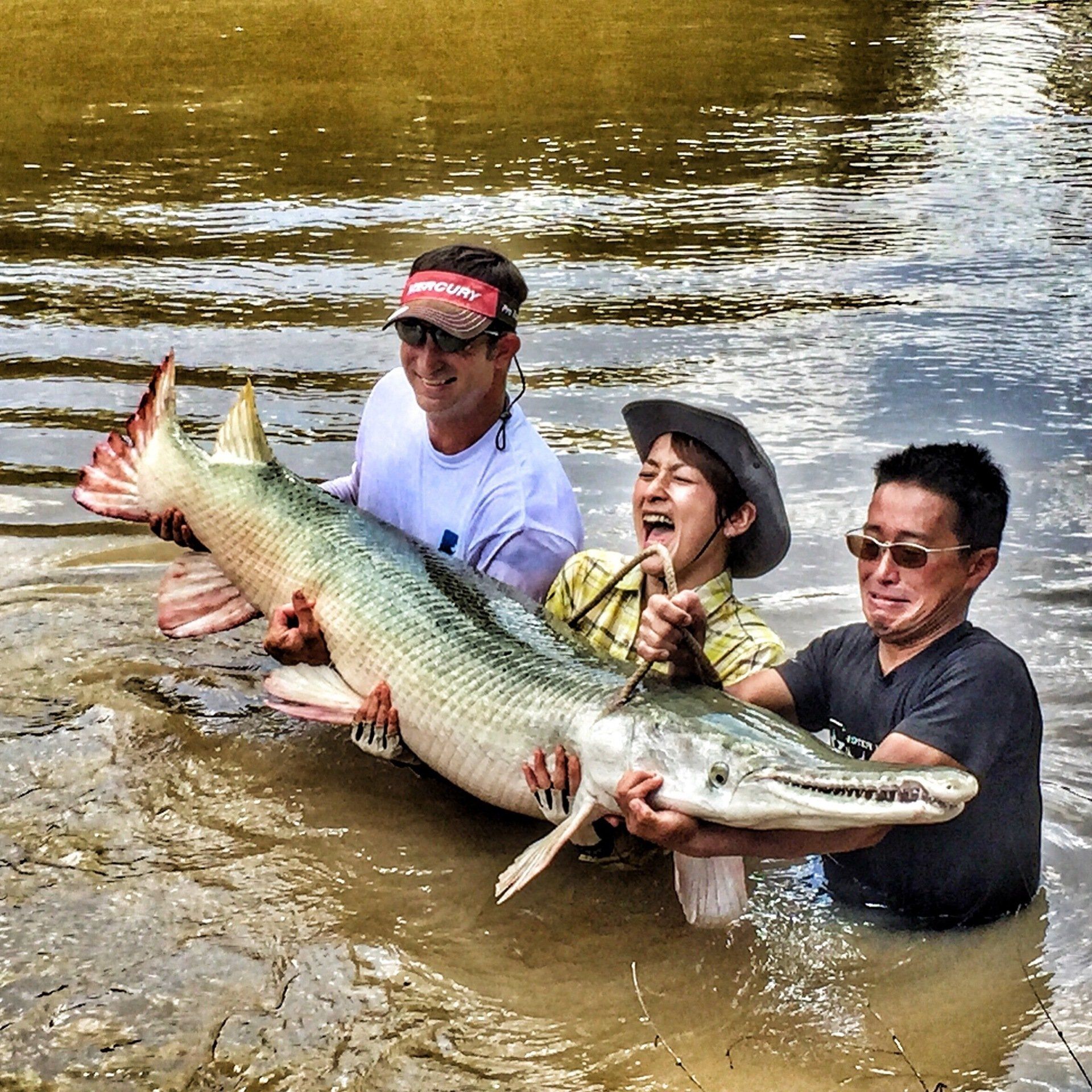 Three people hold a massive alligator gar in shallow water; smiling faces indicate joy.