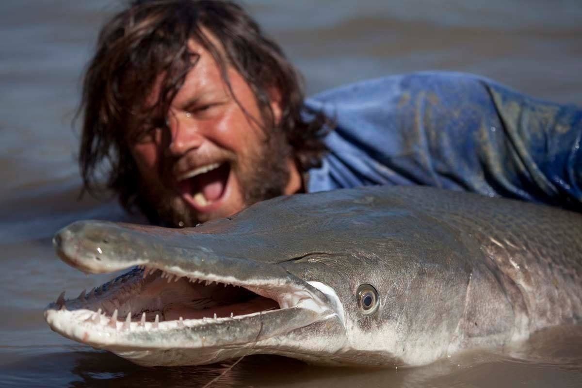Man in water, holding giant alligator gar with open mouth; man smiling.