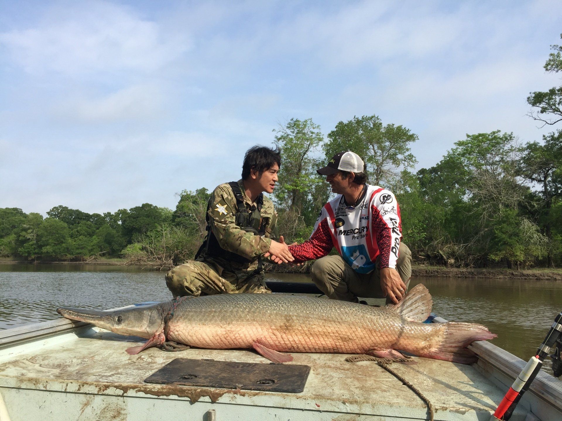 Two men shaking hands on a boat next to a large alligator gar fish in a waterway.