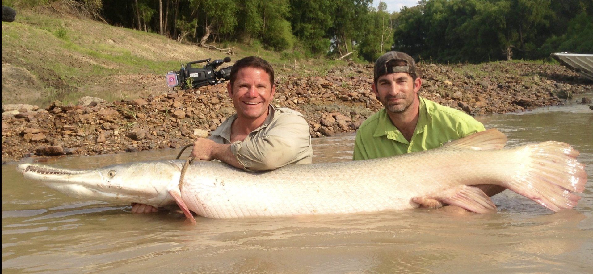 Alligator Gar