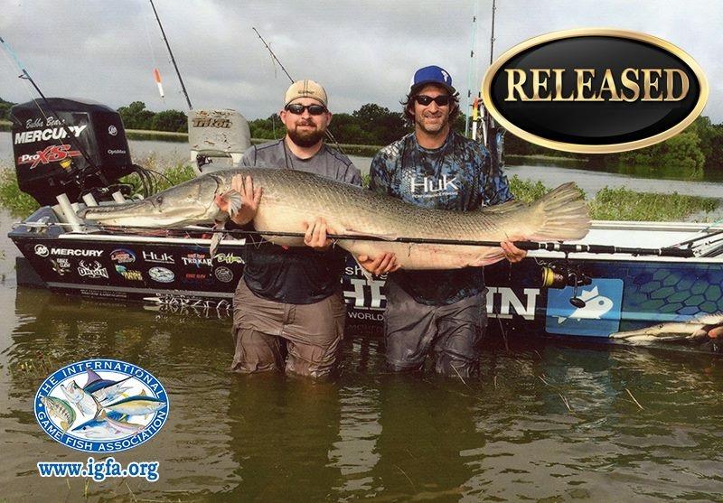 Two men holding a large alligator gar in shallow water near their boat; released.