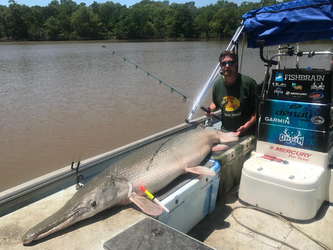 Man on boat with giant alligator gar, fishing rod, and murky river in background.