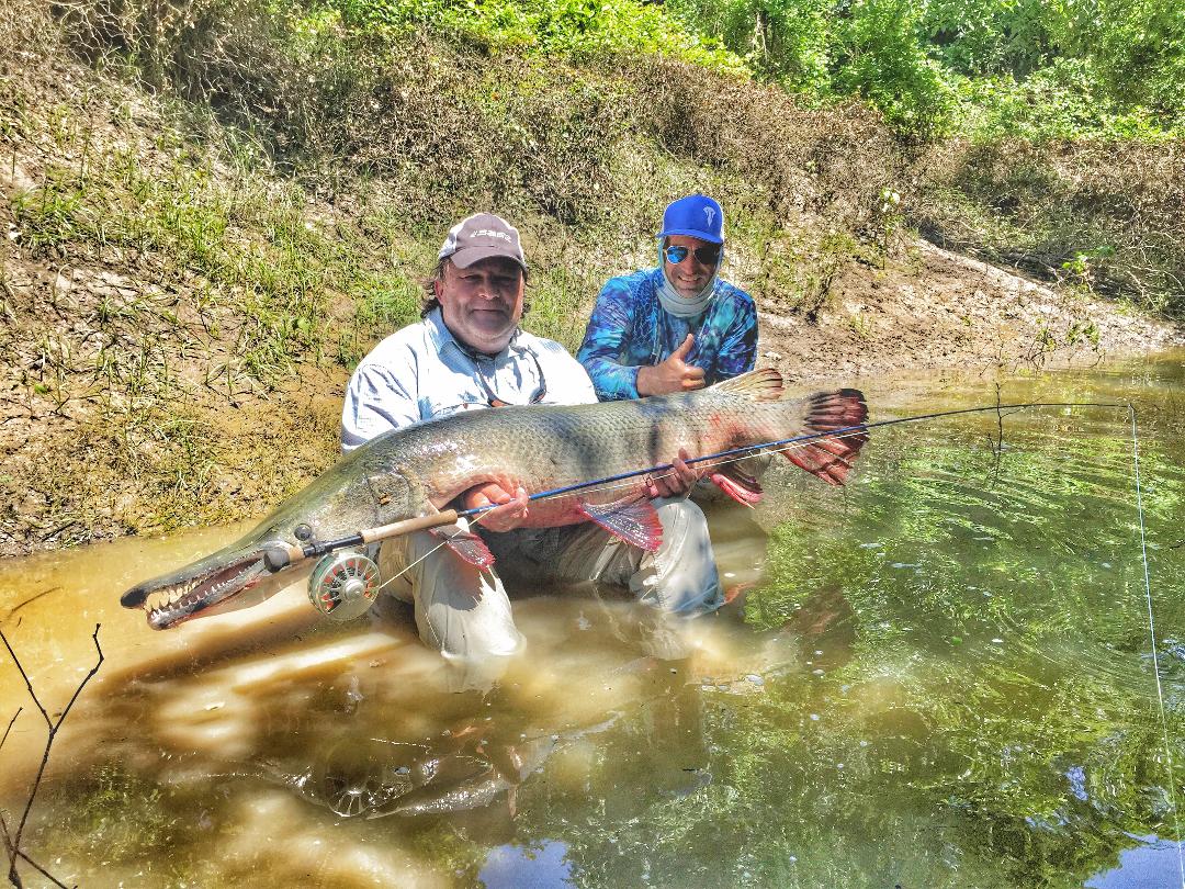 Two men holding a large alligator gar in shallow water. The gar is long and brownish, the men are smiling.