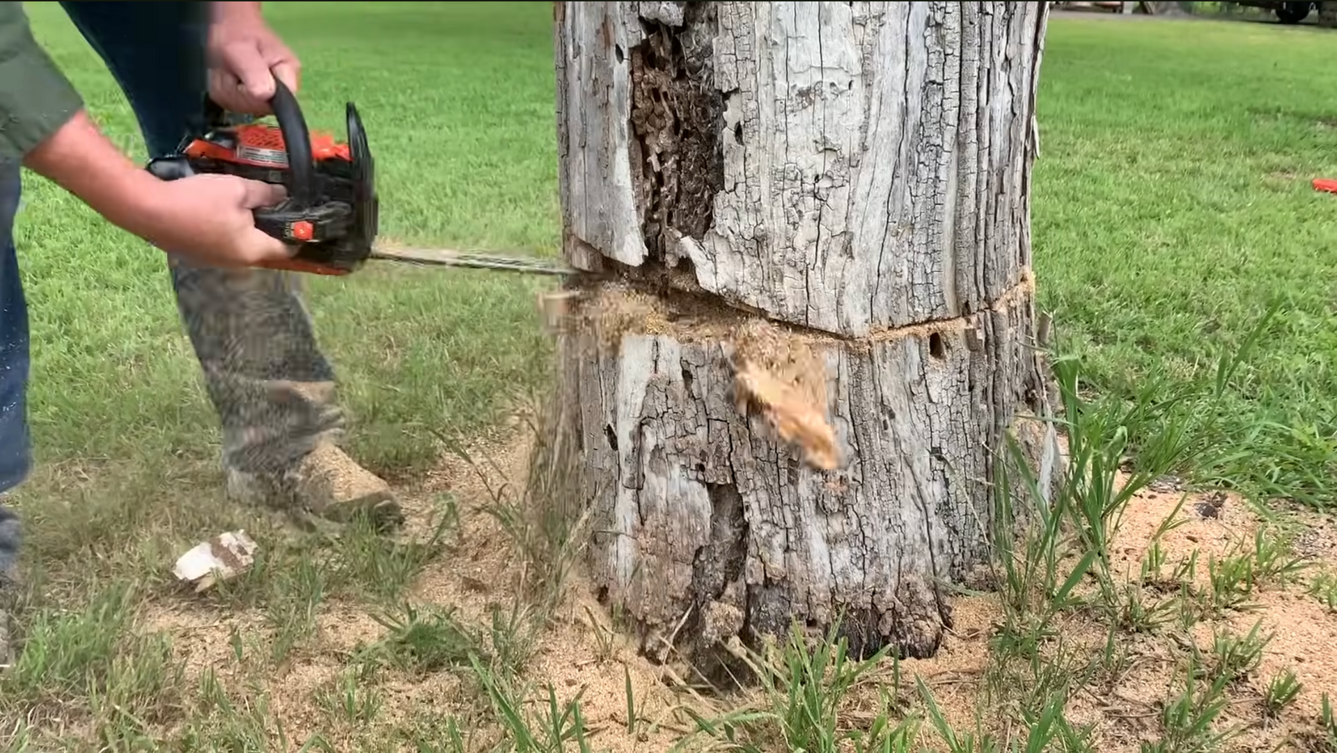 man cutting down the base of a tree with a chainsaw.