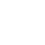 insect