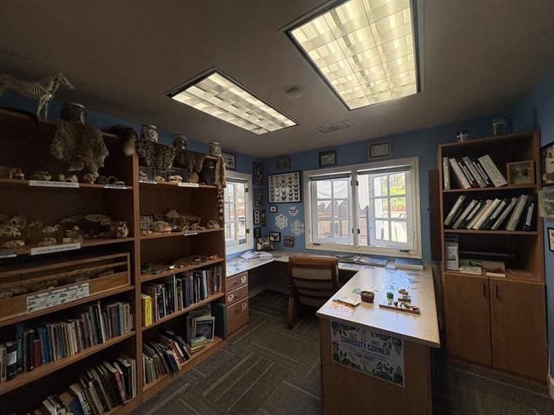 Microscope and open book with illustrations on a table near a window, lit by sunlight.