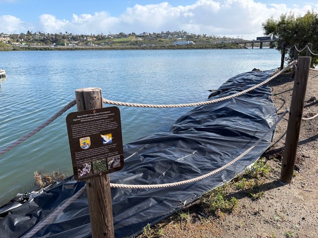 Group of people in blue shirts, cleaning up outdoors near the water on an overcast day.