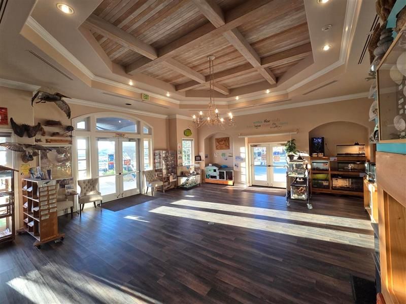 A gray and white bunny lays on a patterned rug next to a woven ball and pink bunny-ear house.