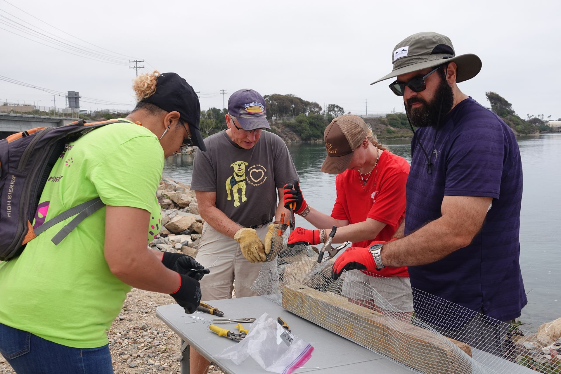 Four people cleaning debris, by a body of water, using tools.