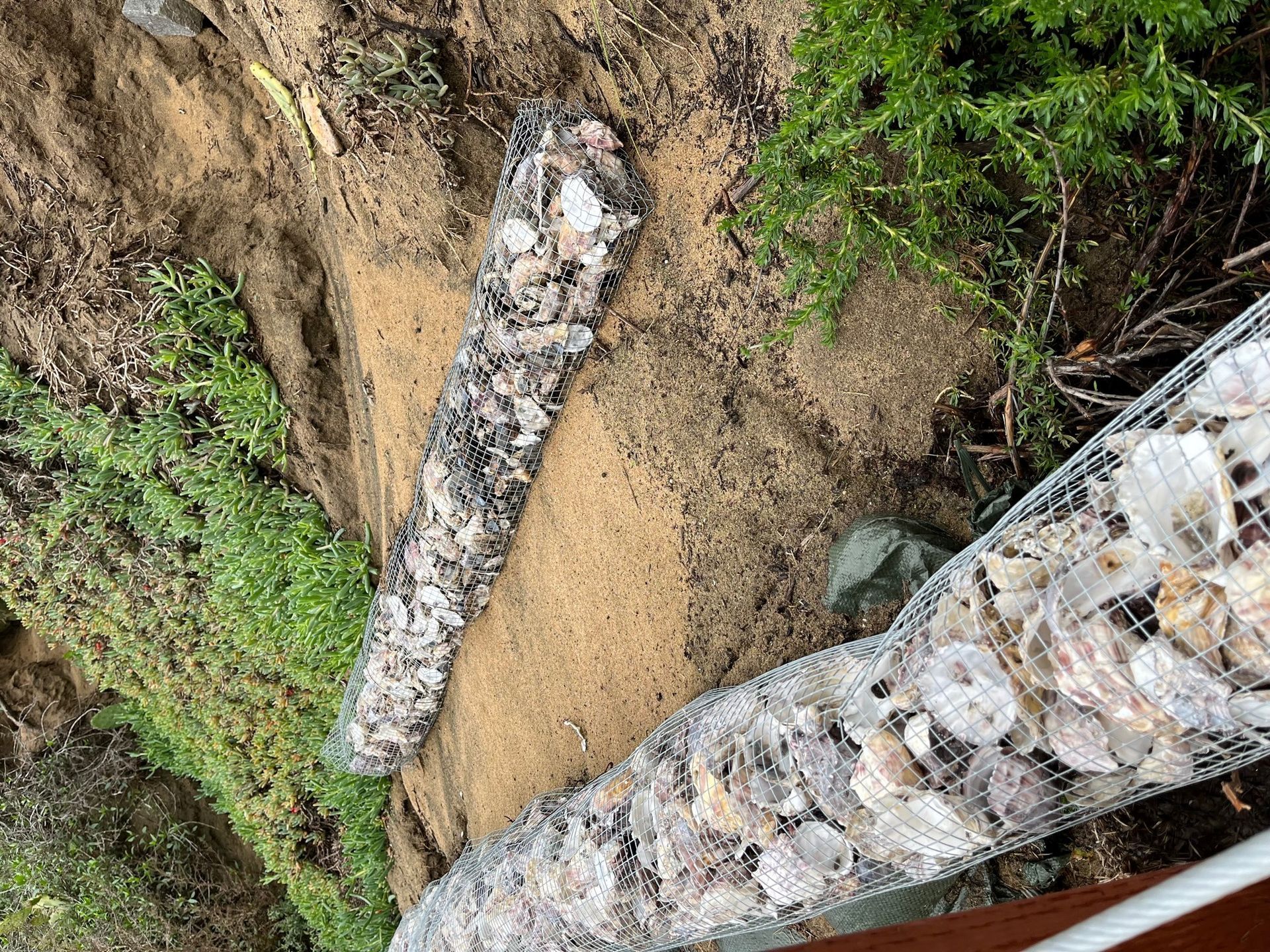 Shell-filled wire mesh barriers along sandy ground, possibly for erosion control, with vegetation in the background.
