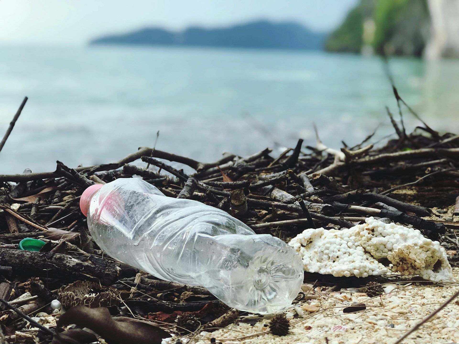 Plastic water bottle on a sandy beach with driftwood and a blurry ocean view.