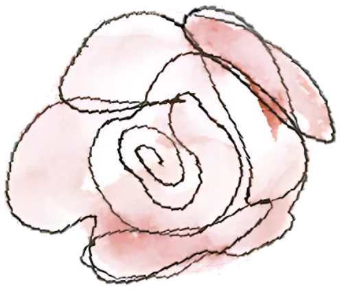A drawing of a pink rose on a white background