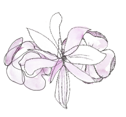A drawing of a pink flower on a white background