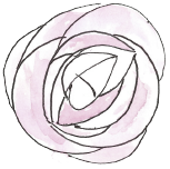A drawing of a pink rose on a white background.