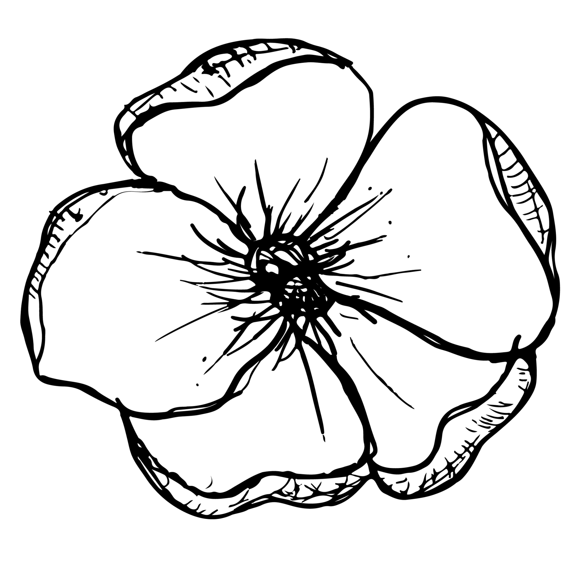 A black and white drawing of a flower on a white background.
