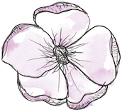 A black and white drawing of a pink flower on a white background.