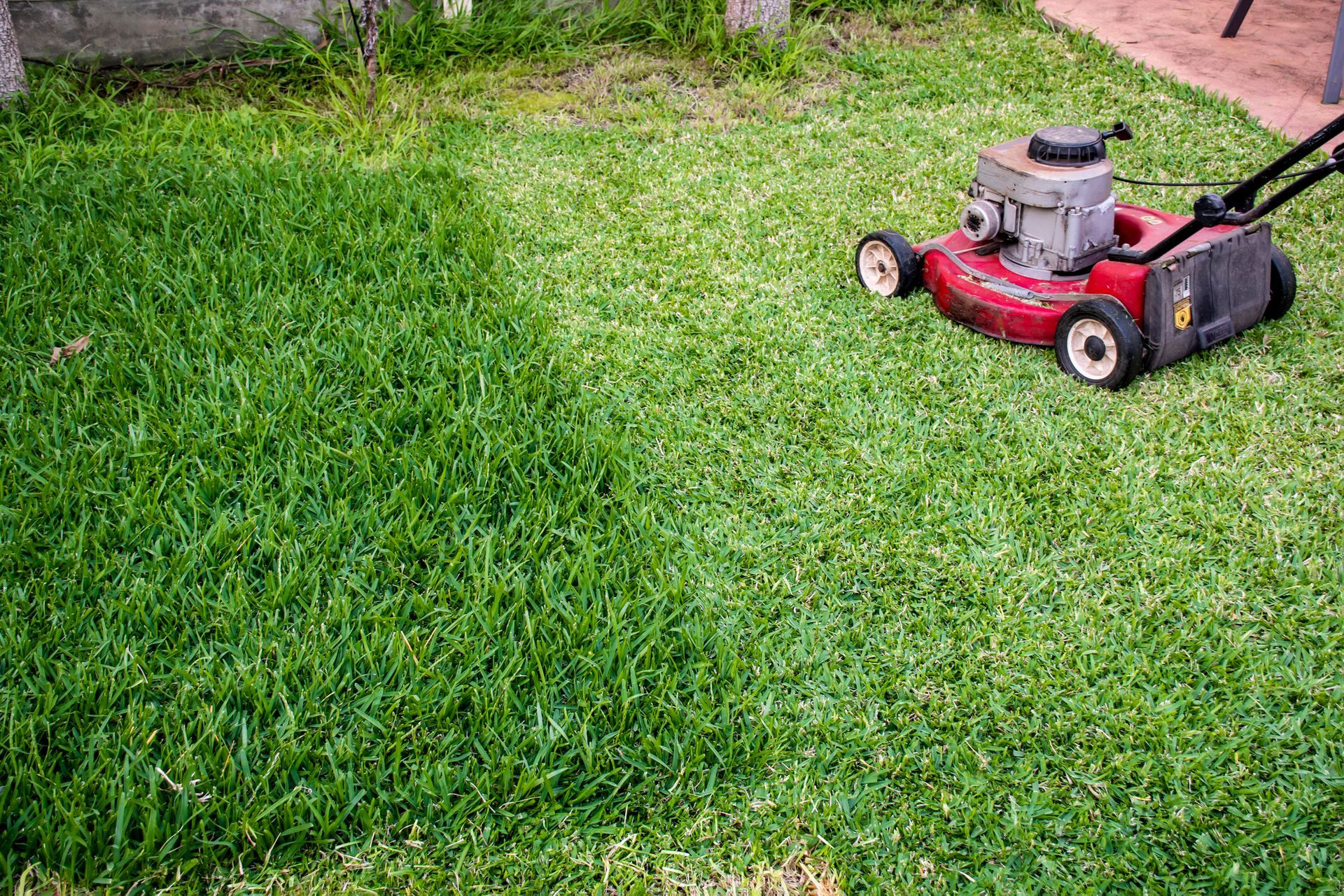 A landscaper cutting a backyard with a lawn mower.