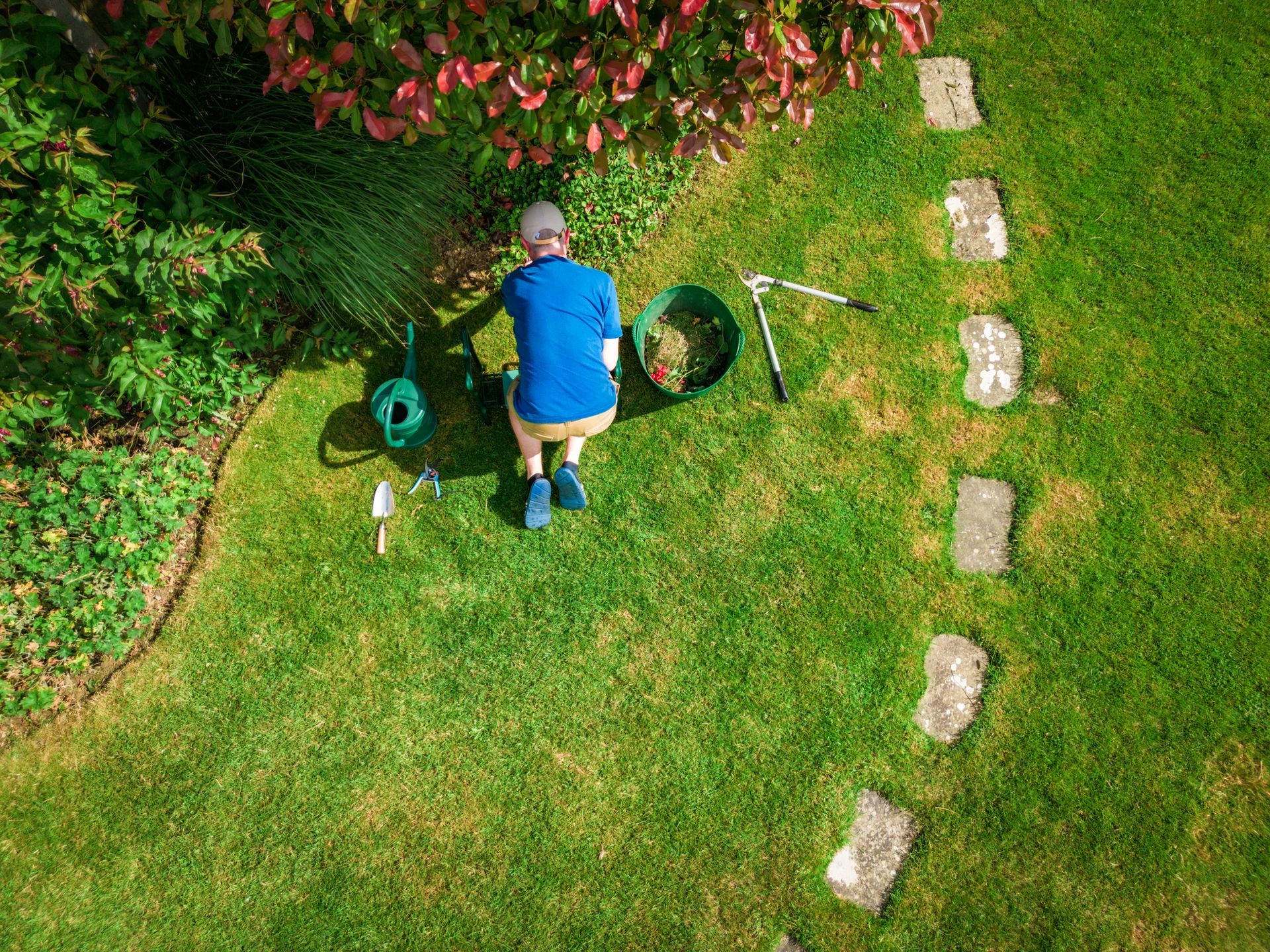 An aerial view of a man kneeling on the grass in a garden.