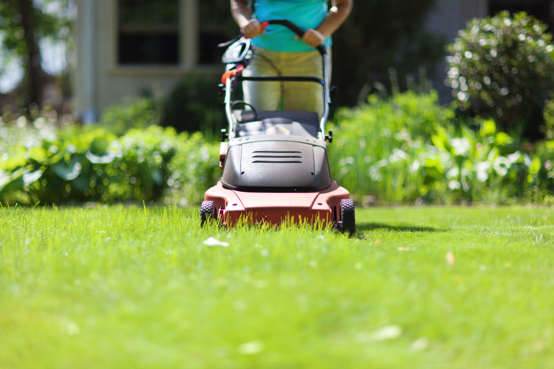 Professional lawn cutting & maintenance by man mowing grass in residential yard on a sunny day.