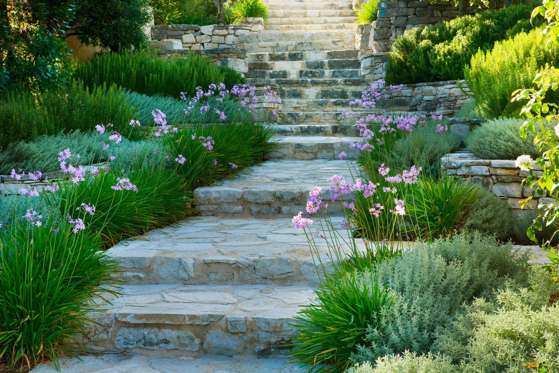 A stone walkway surrounded by flowers and plants in a garden.