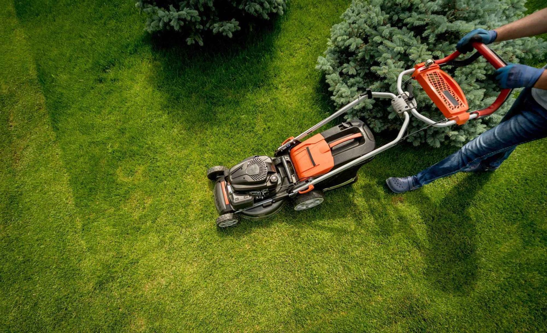 A person is mowing a lush green lawn with a lawn mower.