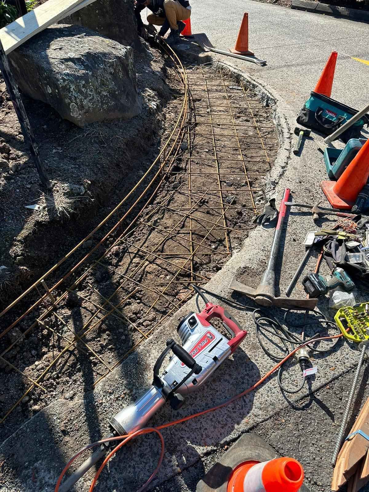 A chainsaw is sitting on the ground next to a pile of cones.