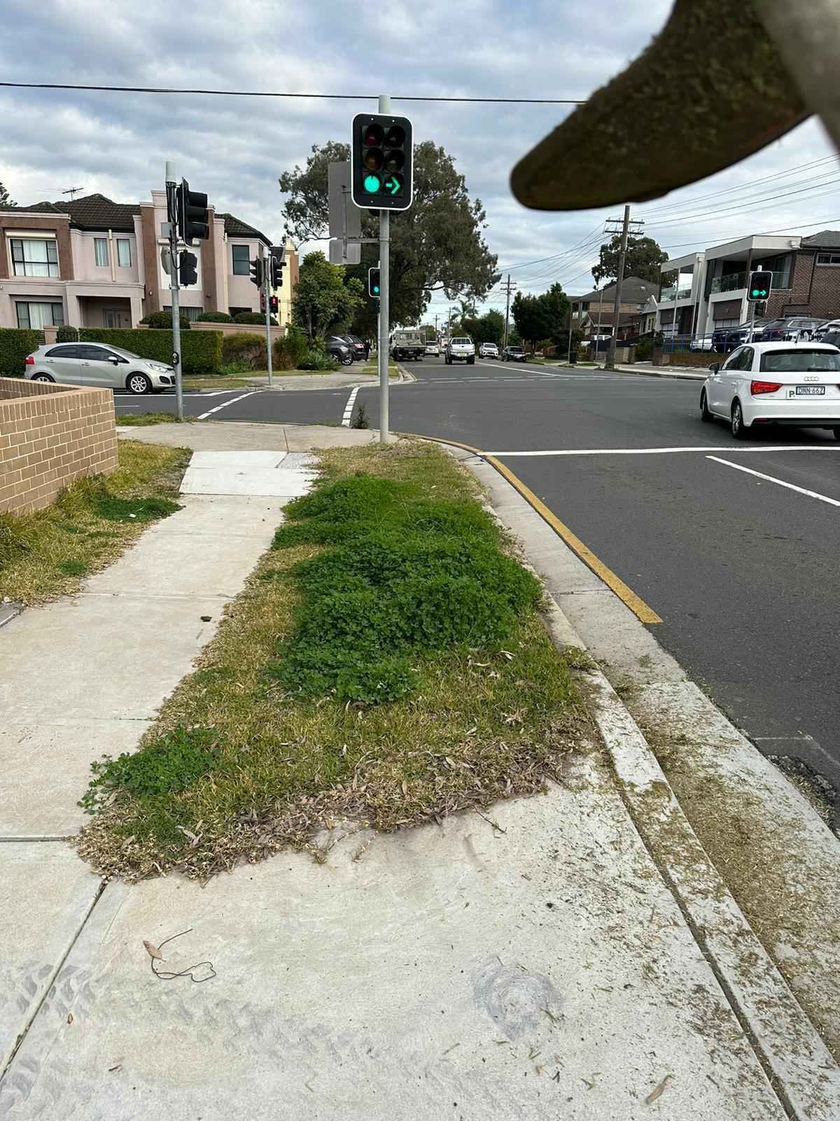 A person is standing on a sidewalk next to a green traffic light.