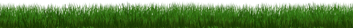 A lush green field of grass on a white background.