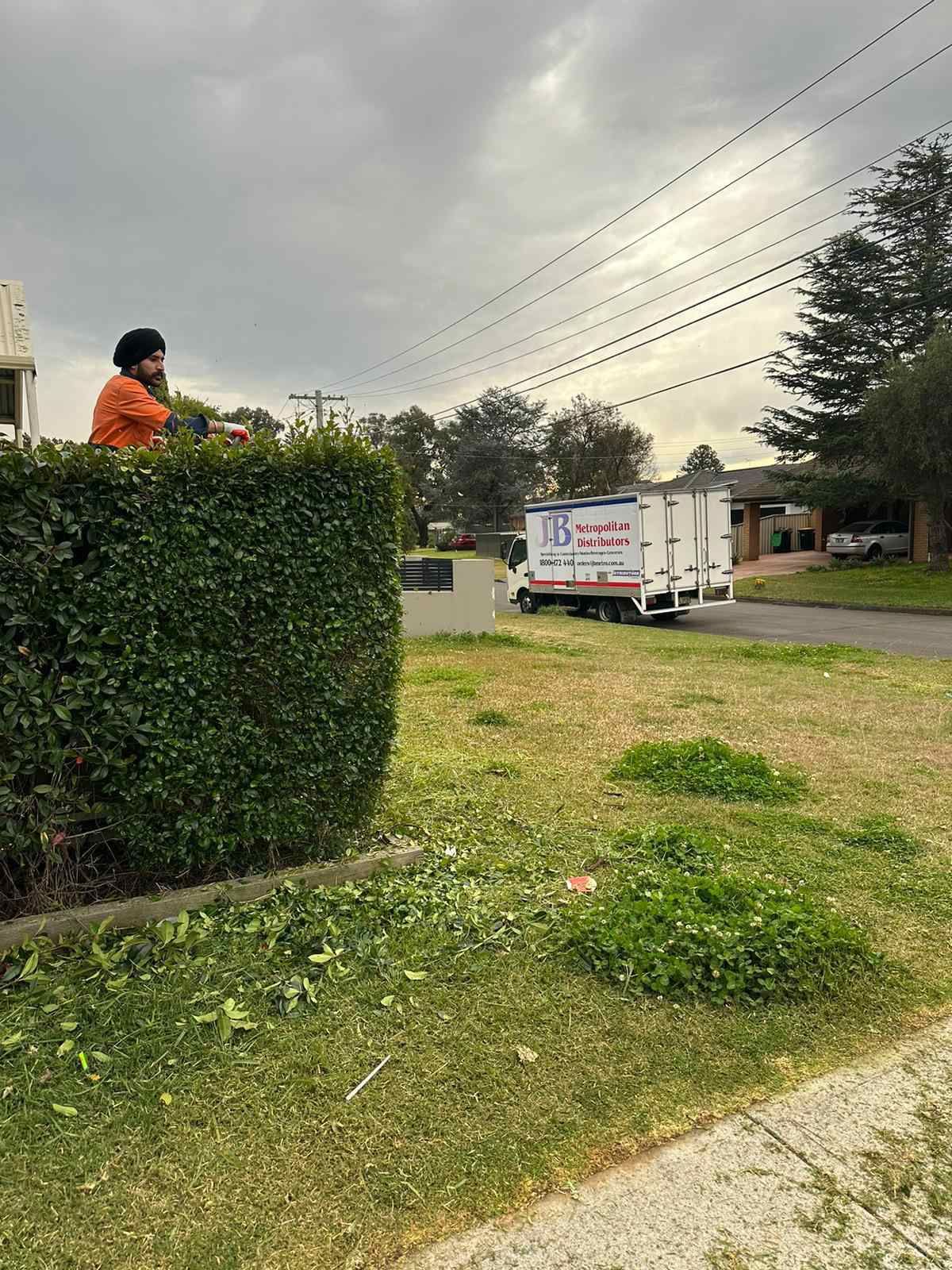 A man is cutting a hedge next to a truck.