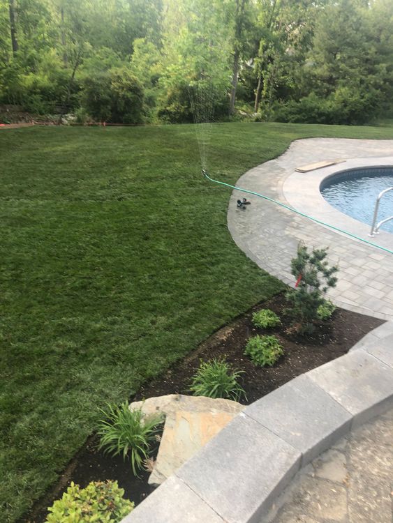 Lush green lawn with a stone patio and pool; trees in the background.