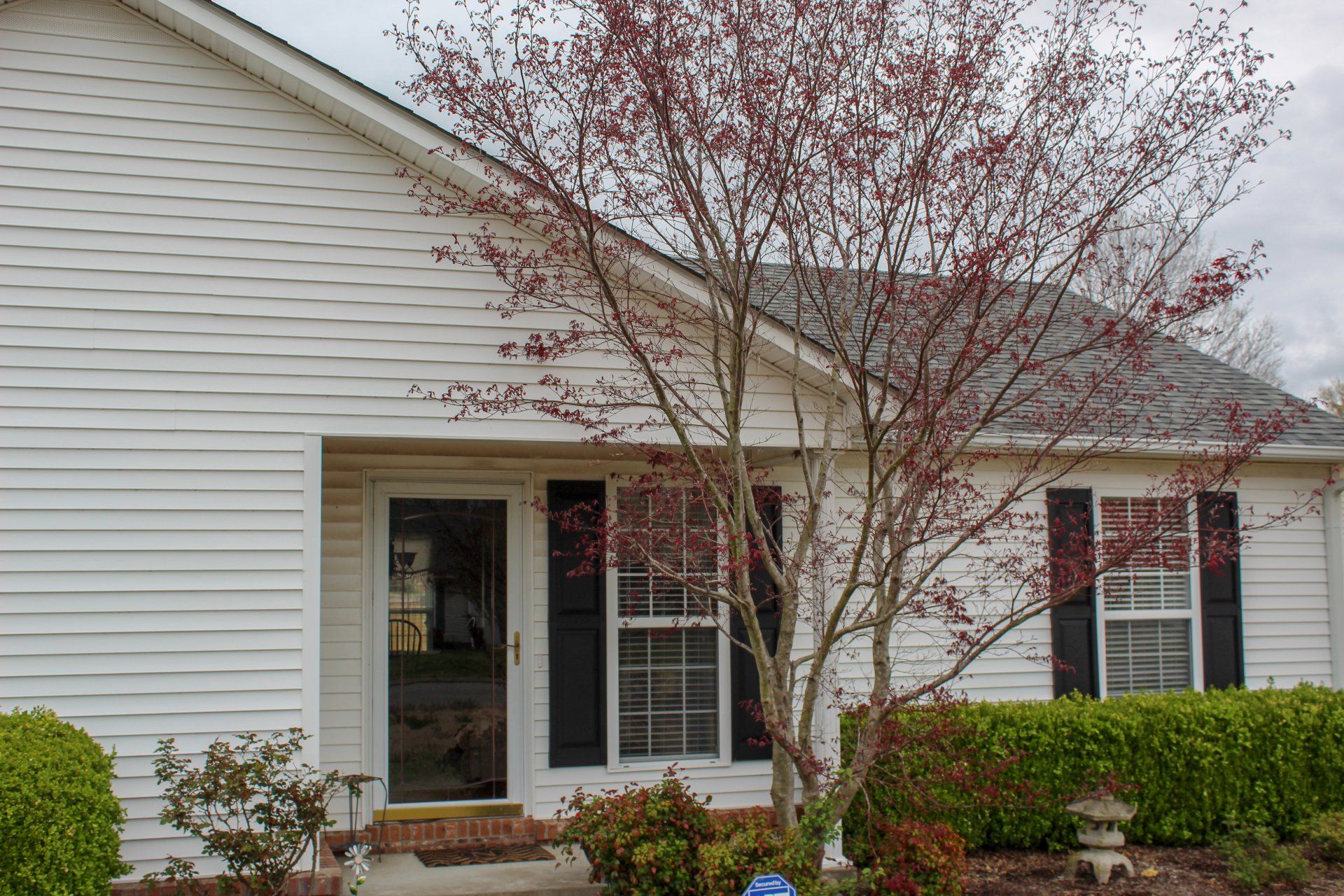 new roof with shingles