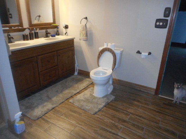 bathroom remodel including new laminate flooring, and new vanity